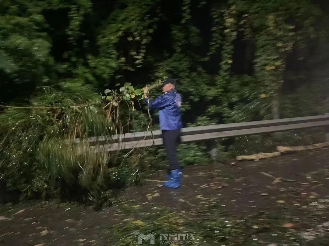 190630t5ubm1v30udpptvu.jpeg