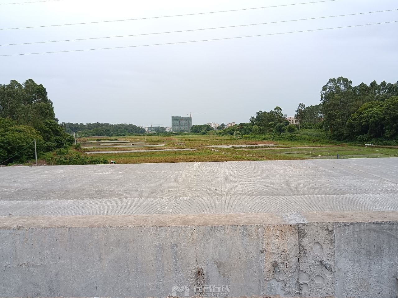 20230717214228front2_0_1590349_FsGvl66KTaK2WE9j6O6Iixu9njYC.jpg