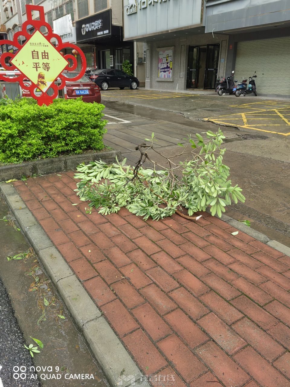 20230718090908front2_0_3377019_FhRCI4u-y77kyk59M5m7R_tegIVO.jpg