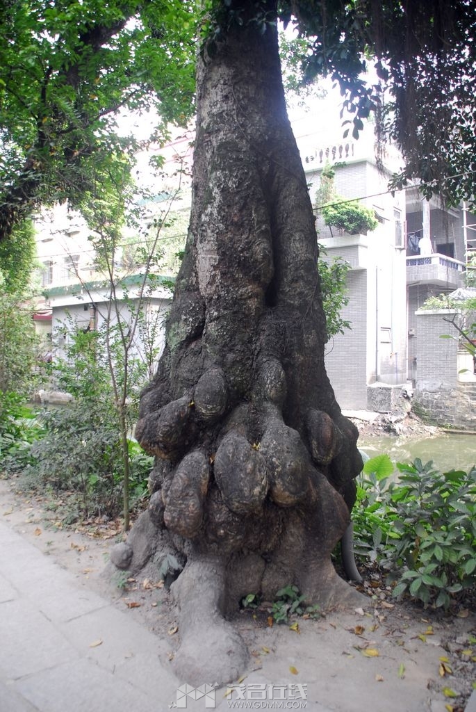 57.jpg
