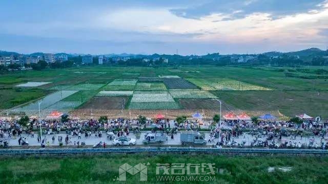 20230815071206front2_0_3382705_Fq82gt-Zxm1L3e4R-JJXmnRU9_1K.jpg