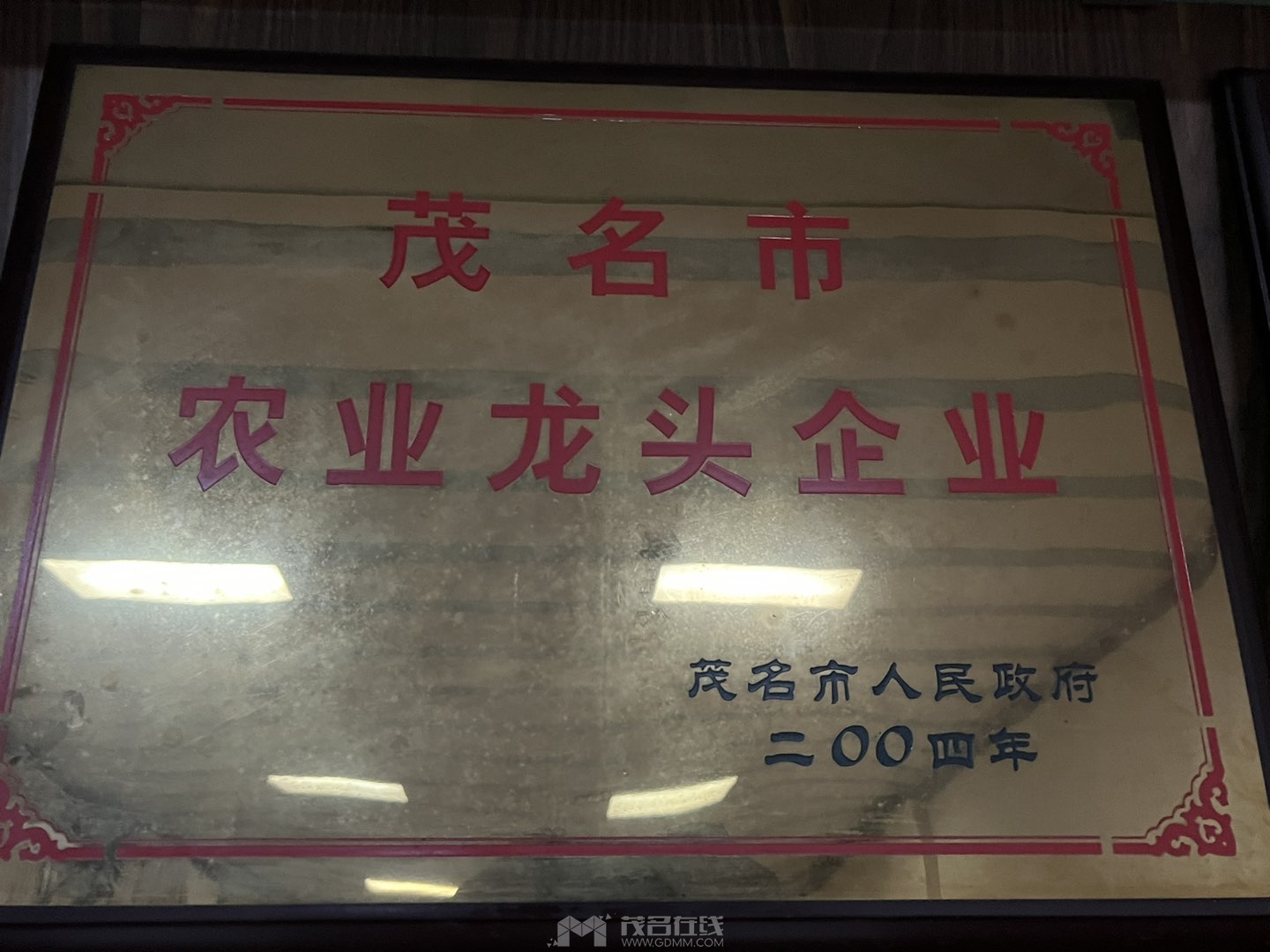 20230815194539front1_0_3384763_FmsC0wBorVqd4Ie4E1OlOcCvfs0A.jpg
