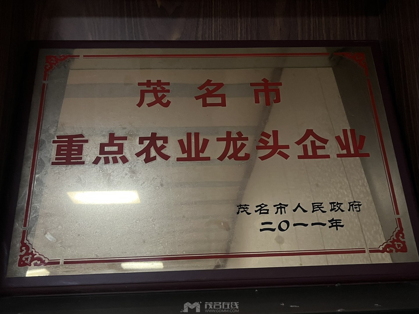 20230815194540front1_0_3384763_FigSgQYrh2-RMiiPbyAUMm_i1y10.jpg