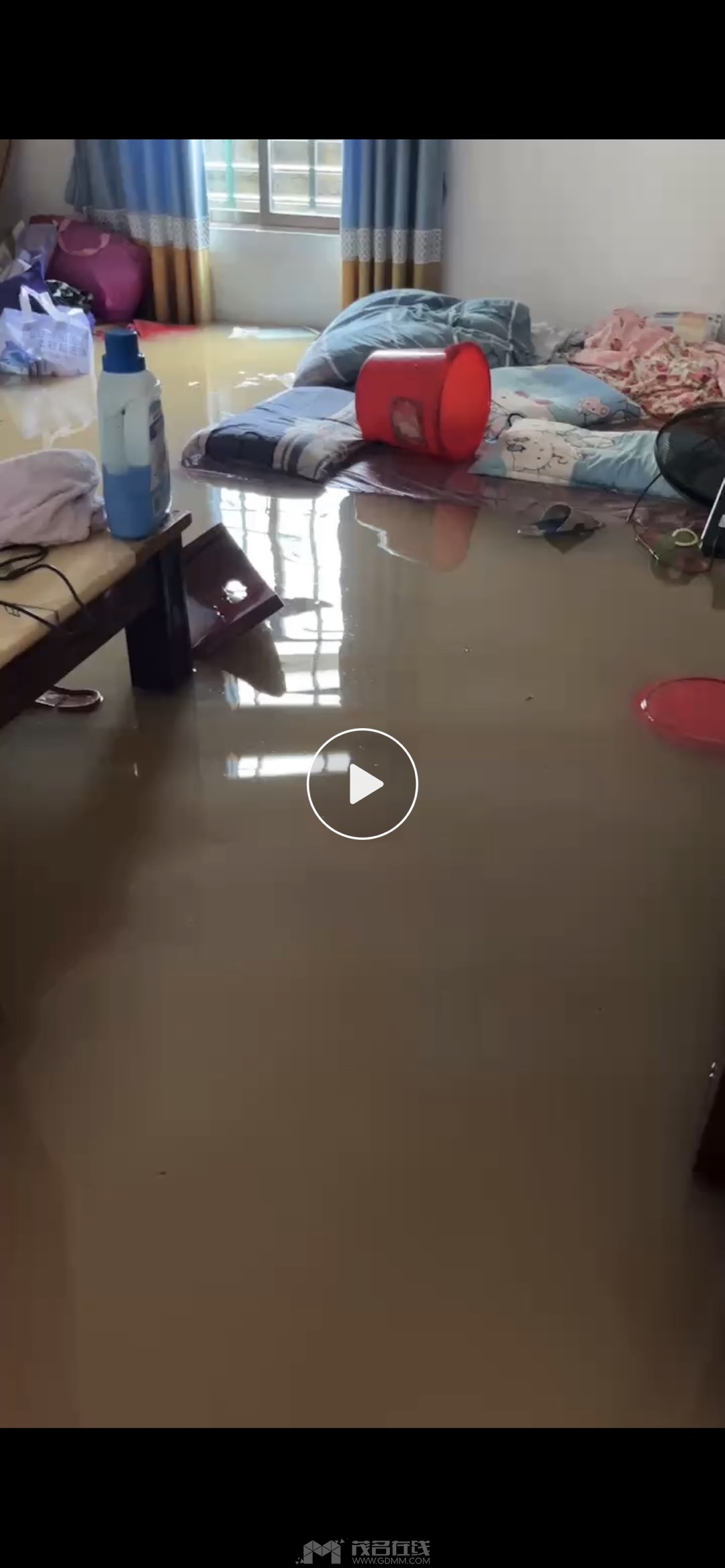20230910204431front1_0_3265307_FkUxfJM10UFFEb2xnPjtPQX5N4kA.jpg
