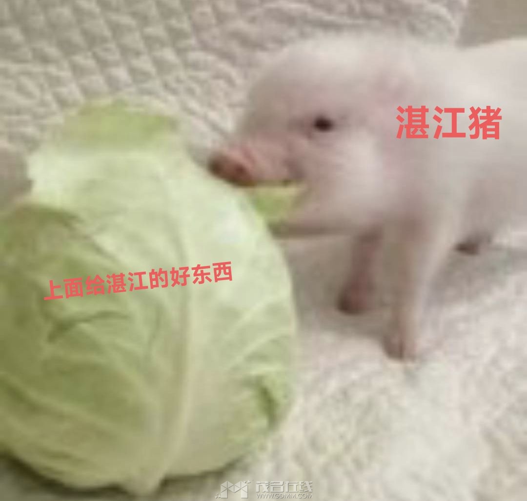 20230926121627front2_0_3287443_FhbWRaIeWQhgWXdkWOM3JEI11Gz_.jpg