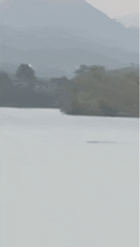 640.gif