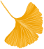 145229p81fsjms300hfzlu.png