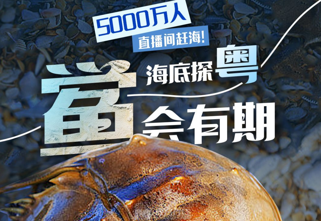 QQͼ20231020094935.png