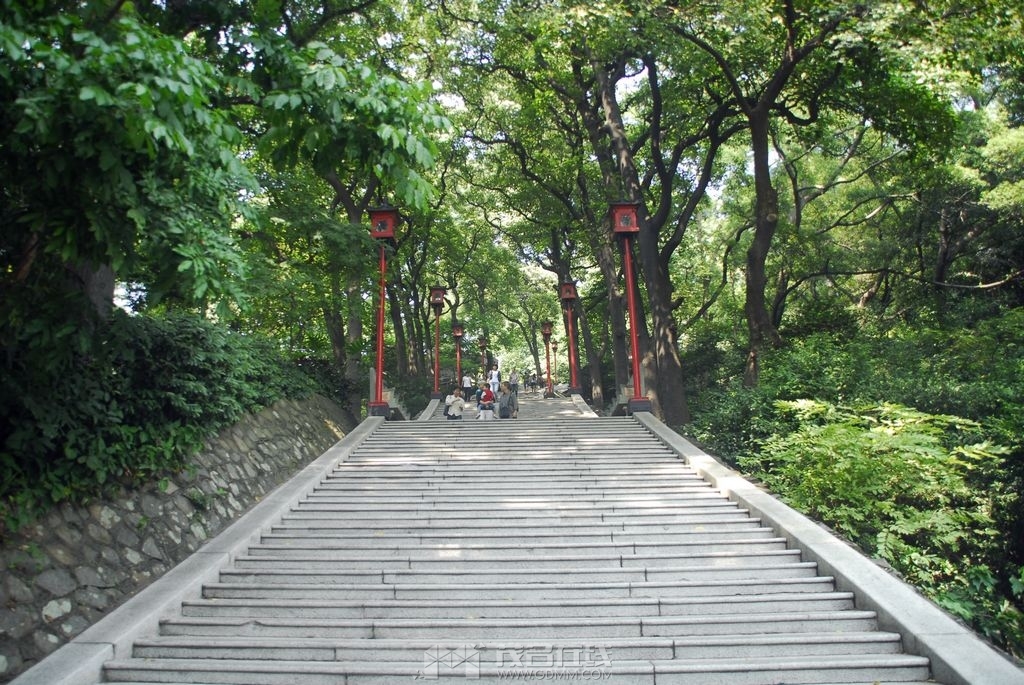 55.jpg