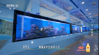 153618eoppkcn2pshepgc6.gif