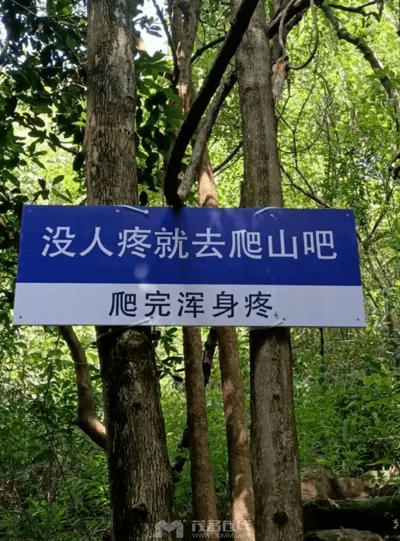 d6356b5864024de7b730dafa463f0e05.png