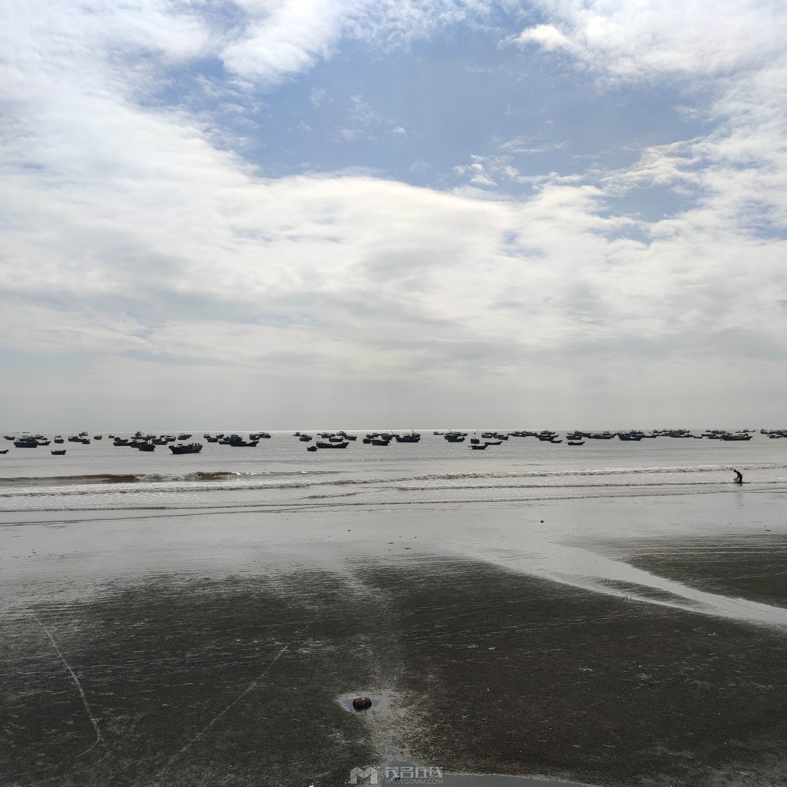 IMG_20231116_130329.jpg
