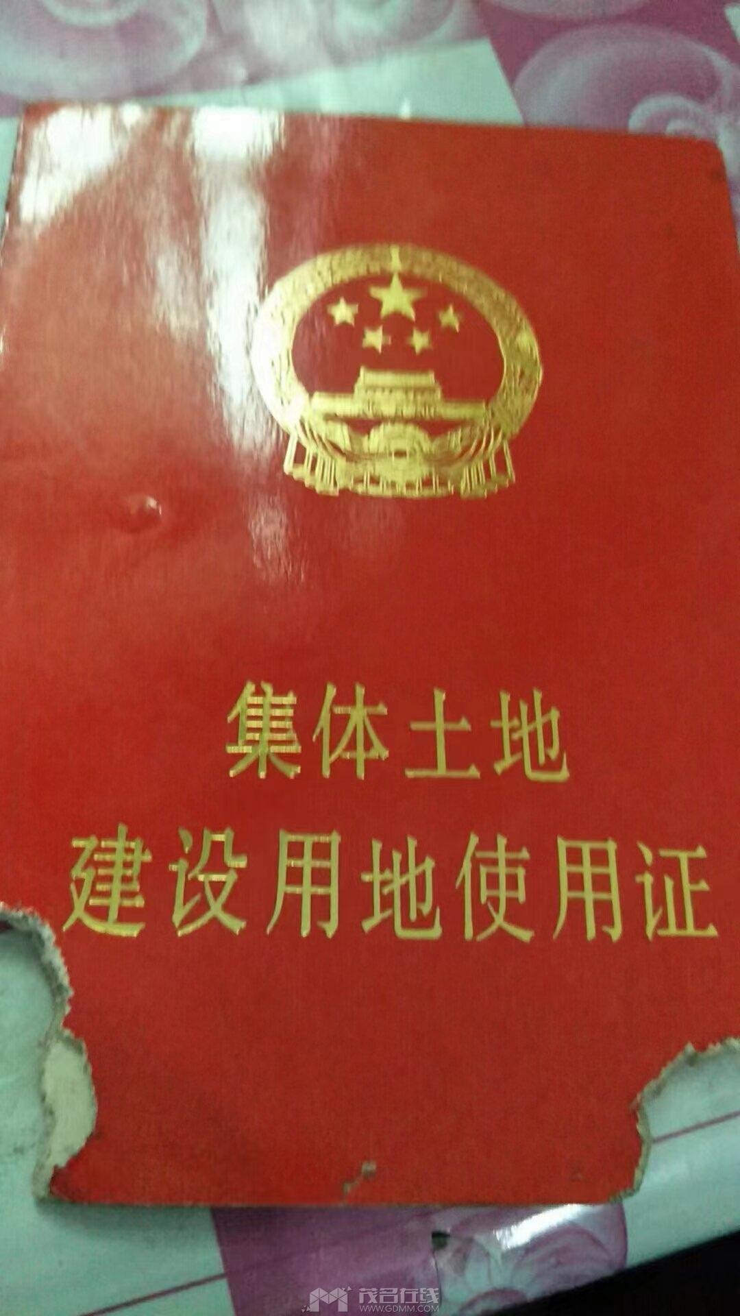 20231226130132front1_0_3386074_FoLU71D32PdFdbECjIlctAp6fuKK.jpg