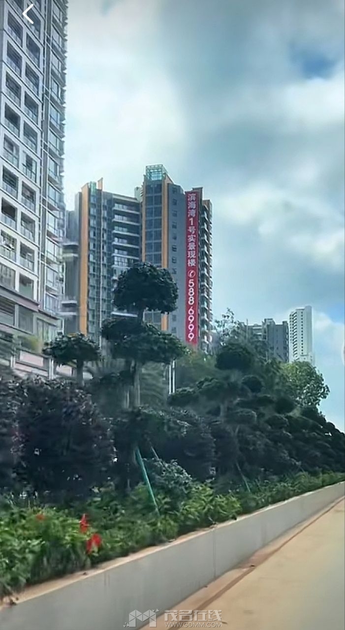 20240120121914front2_0_3337927_Fsds_cpUVxdBlOViQAPKWSDErYxA.jpg
