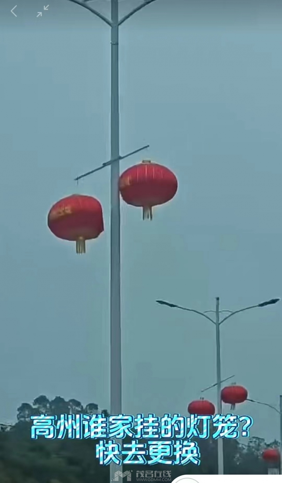 C.jpg