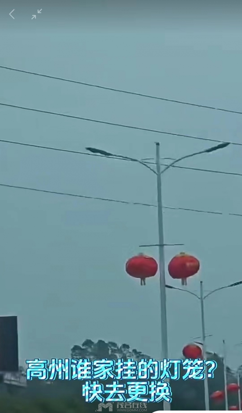 F.jpg
