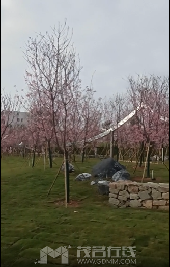 ΢ͼƬ_20240214093604.png