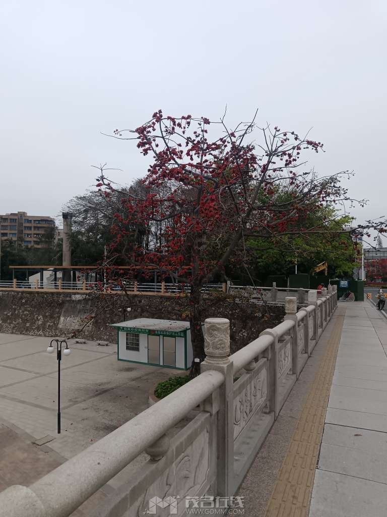 20240226075149front2_0_6433_FlW3-WZAoGo_PVMU42BBd410Wwkb.jpg