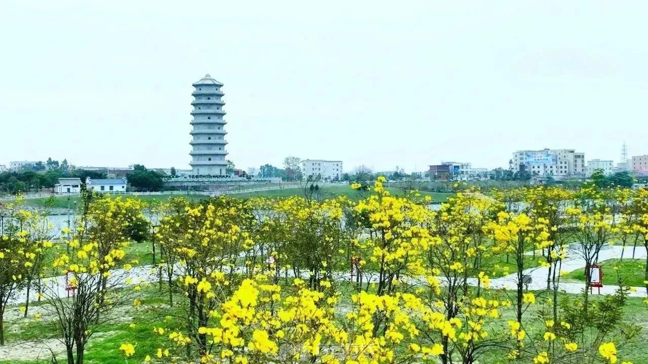 20240307211251front1_0_3381721_FufOI7MCab9zf0g8r1-Y9HGzOm4j.jpg