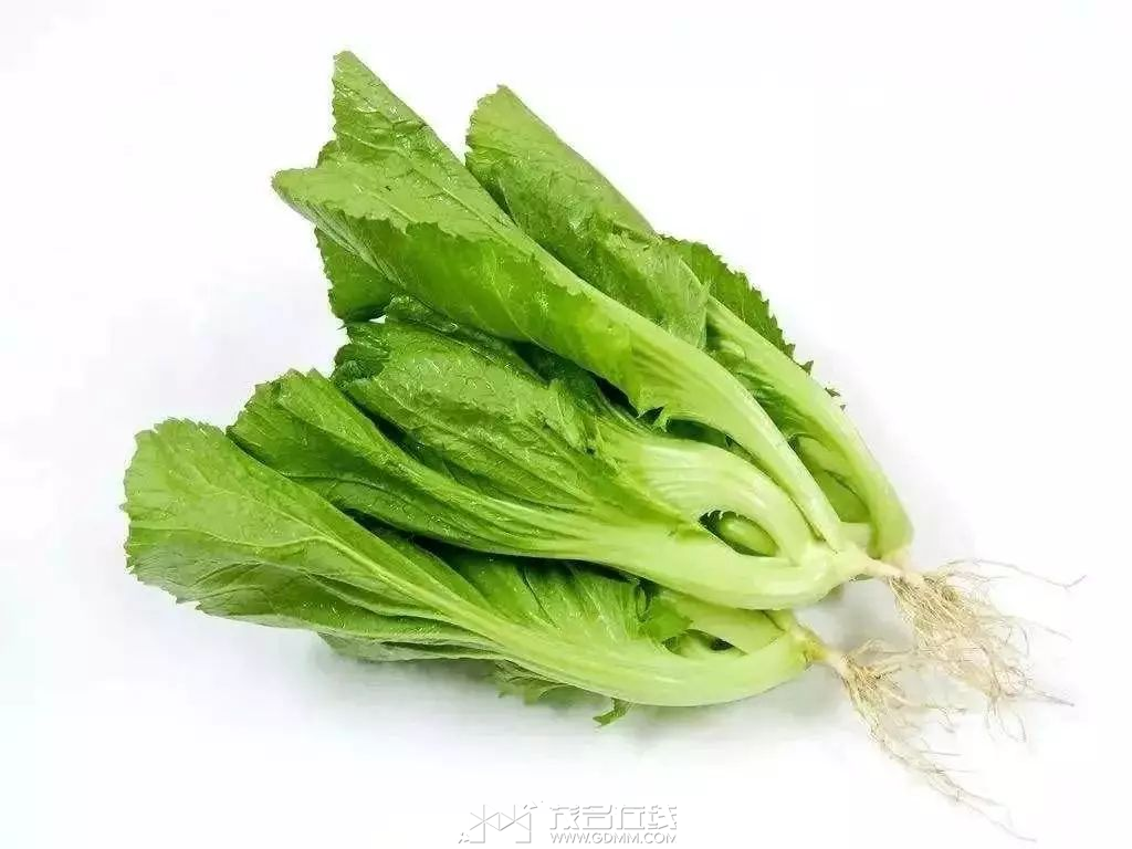 微信图片_20240317105624.png