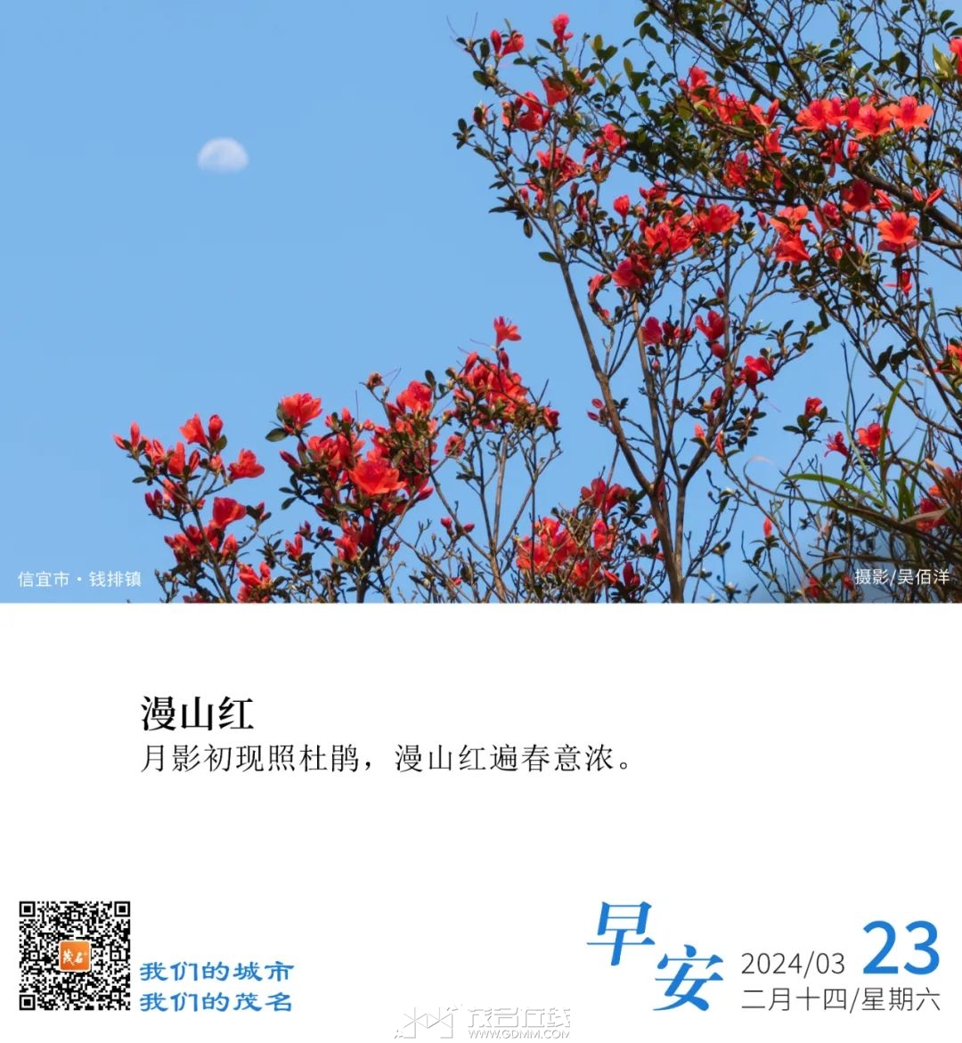075606x6tbykqph24hbho6.jpeg