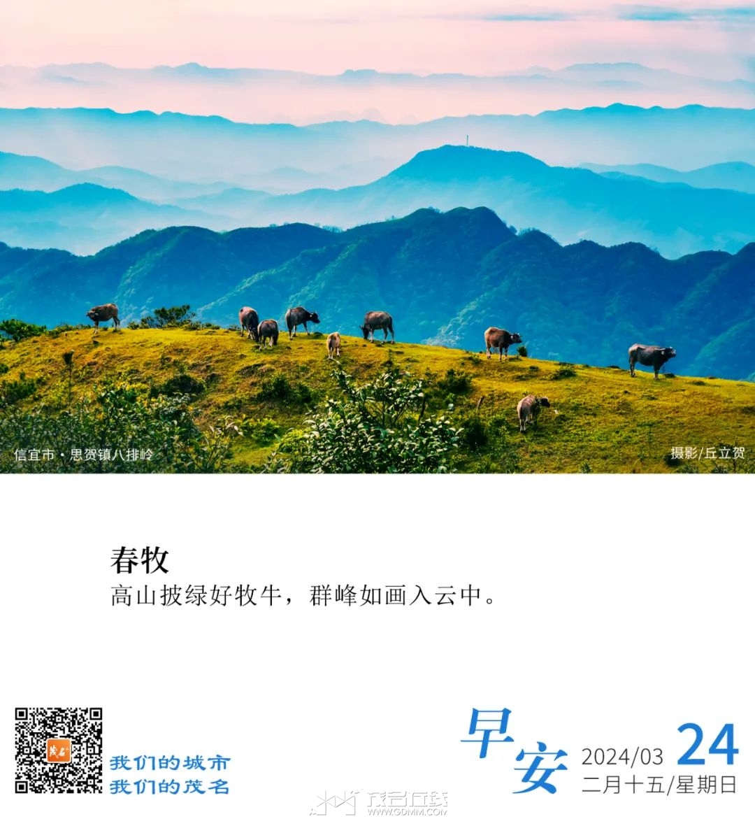 074430lxun8c2z8md6n4f2.jpeg