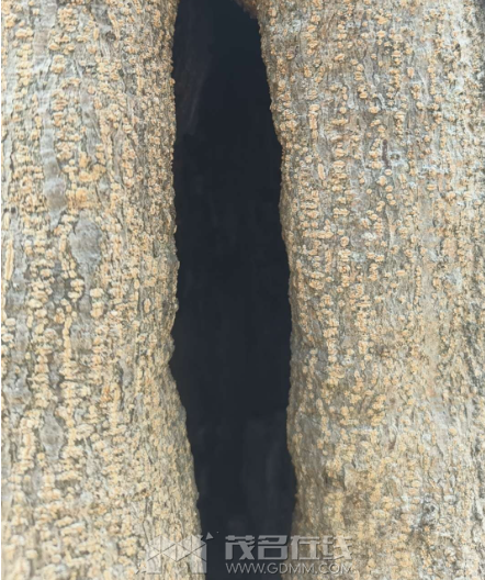 ΢ͼƬ_20240324235348.png