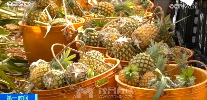 微信截图_20240326150235.png