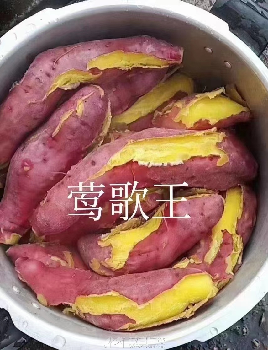 微信图片_20240409101154.jpg
