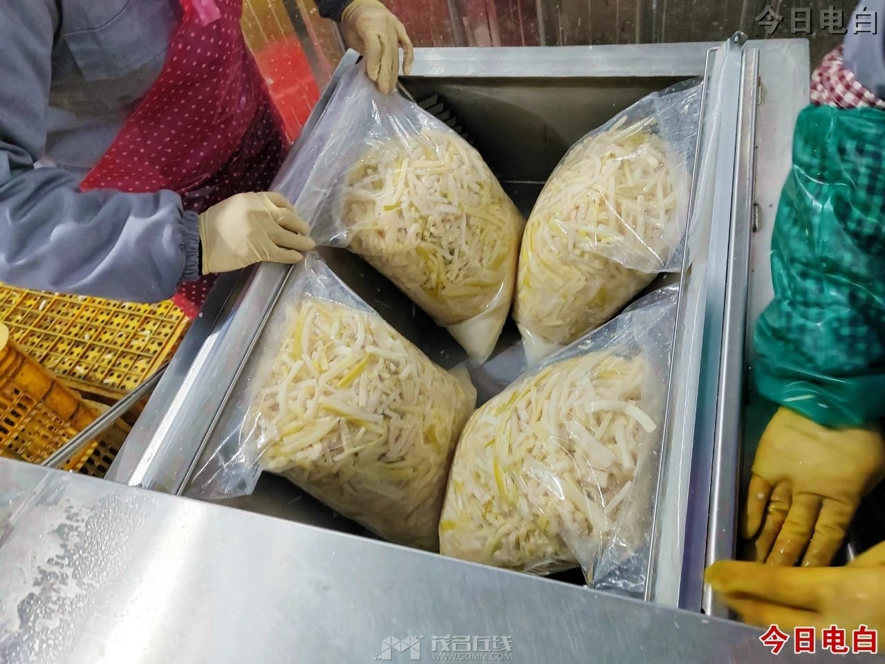 0 (3).jpg