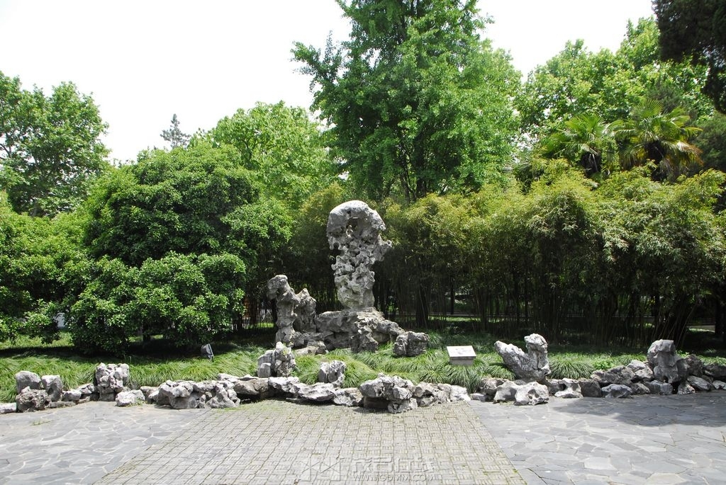 59.jpg