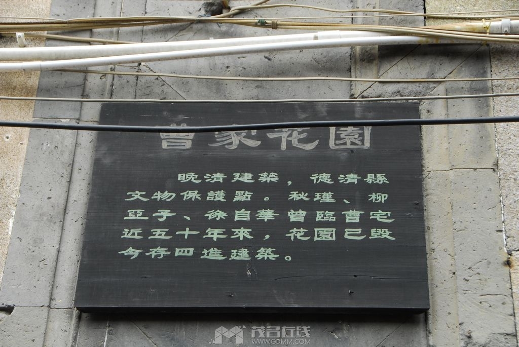 65.jpg