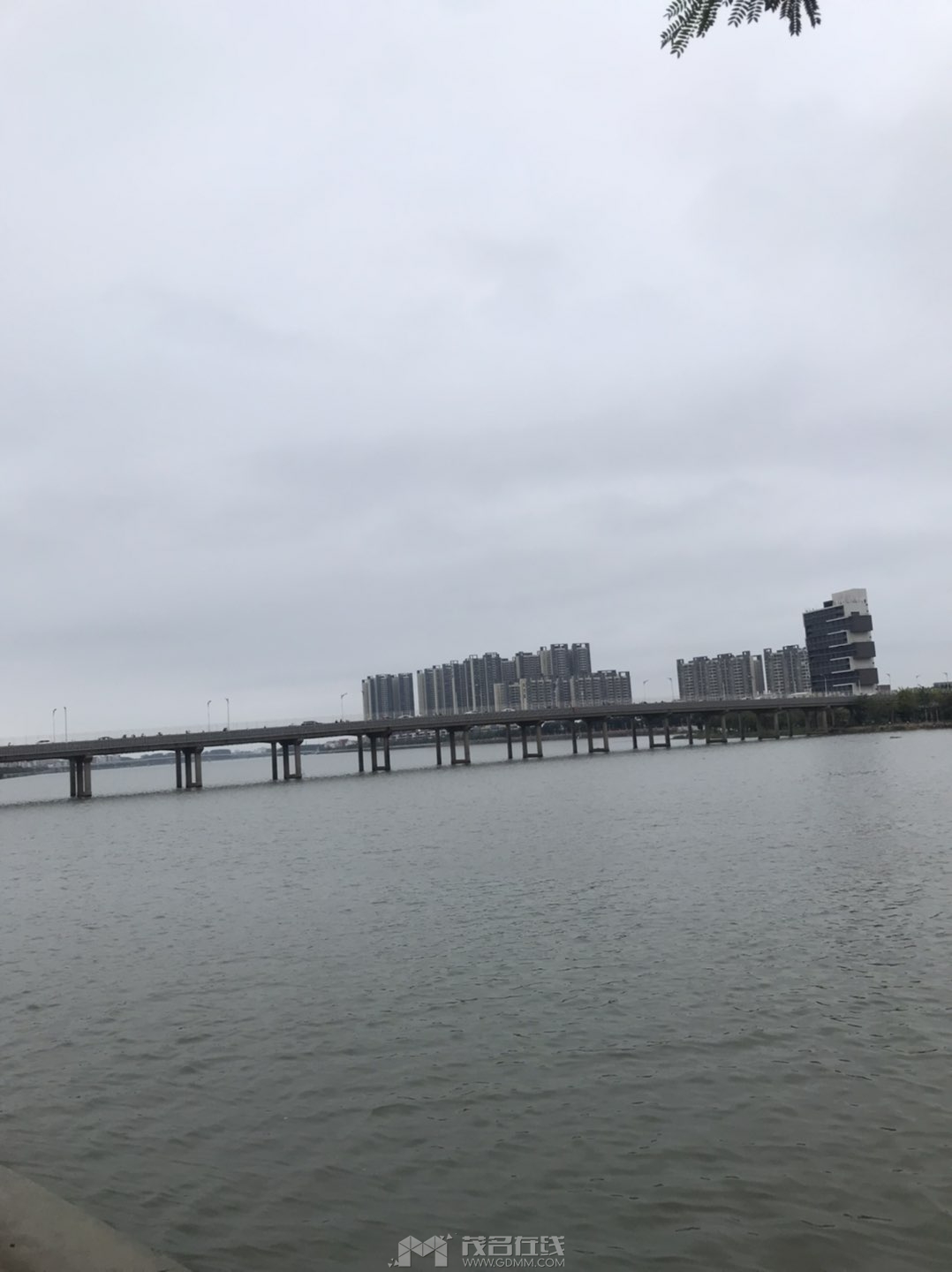 20240514134327front1_0_3295069_Ft2o4MBCtnBnxx2cziyQLynW1jx3.jpg