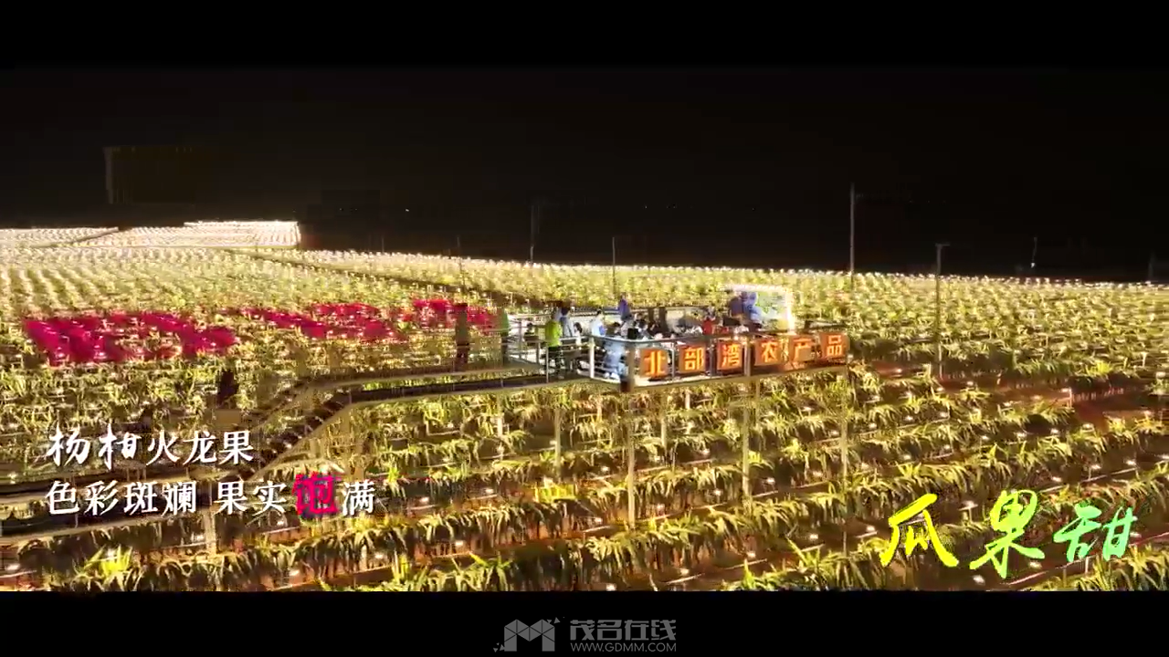 甜美遂溪夏日精彩纷呈 热辣活动点亮“五一[00_00_13][20240517-185031].png