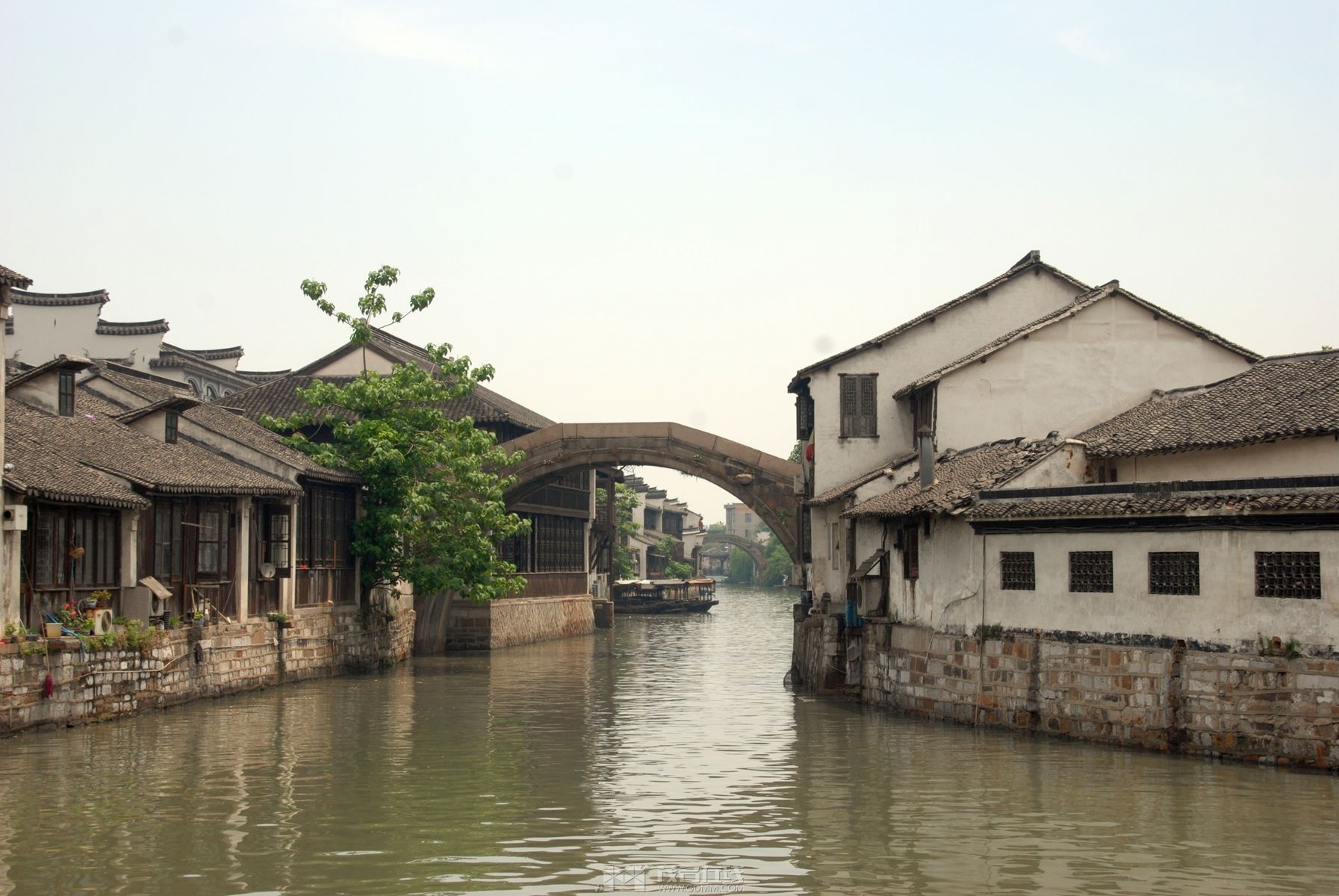 159.jpg