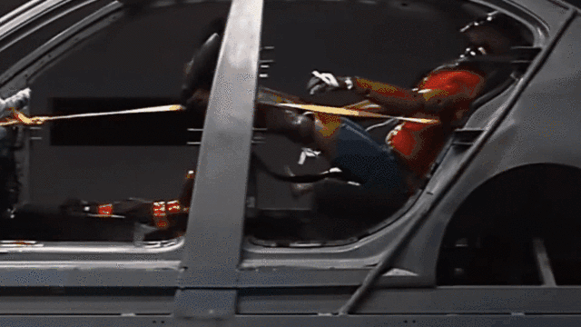ʵ1.gif