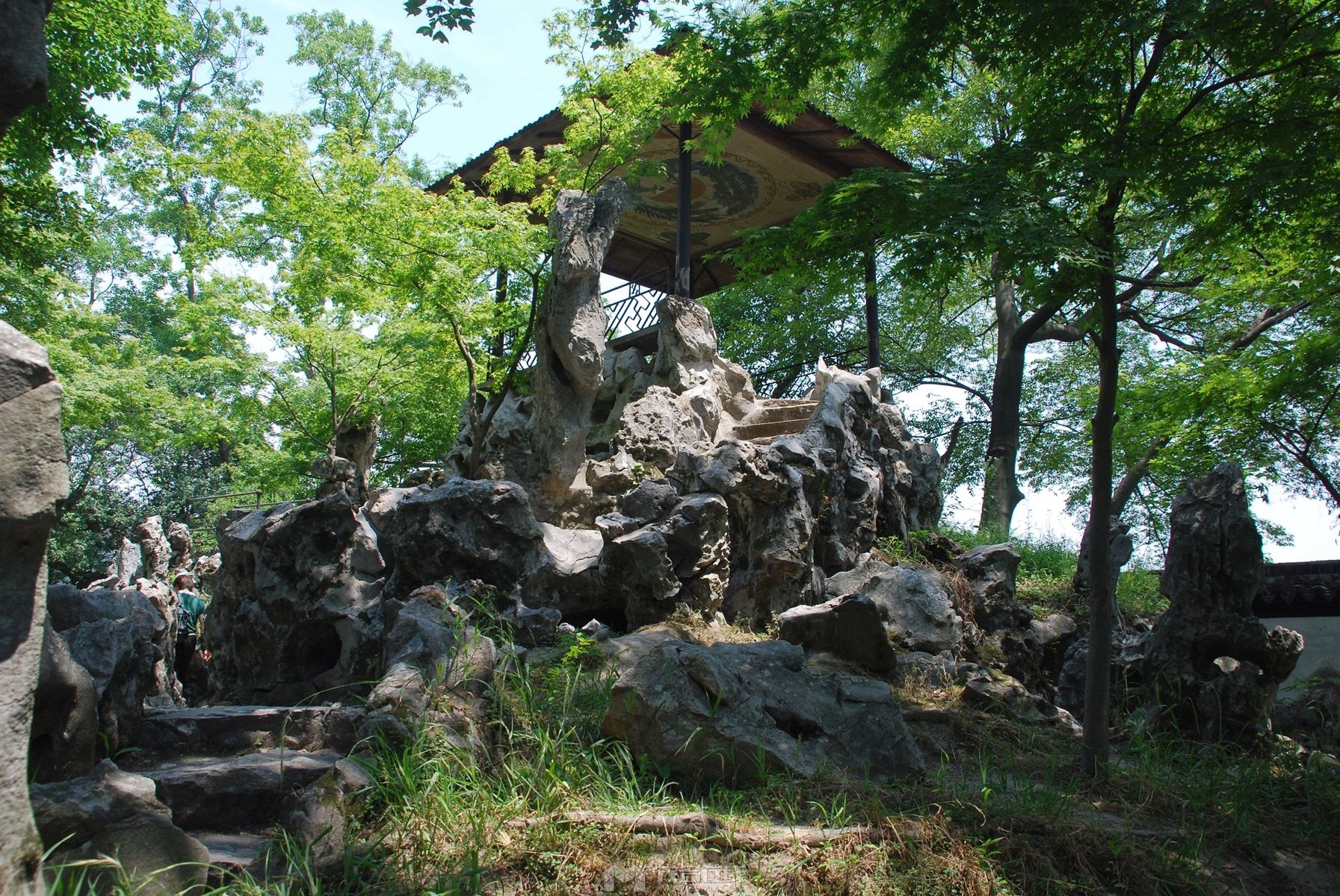 267.jpg