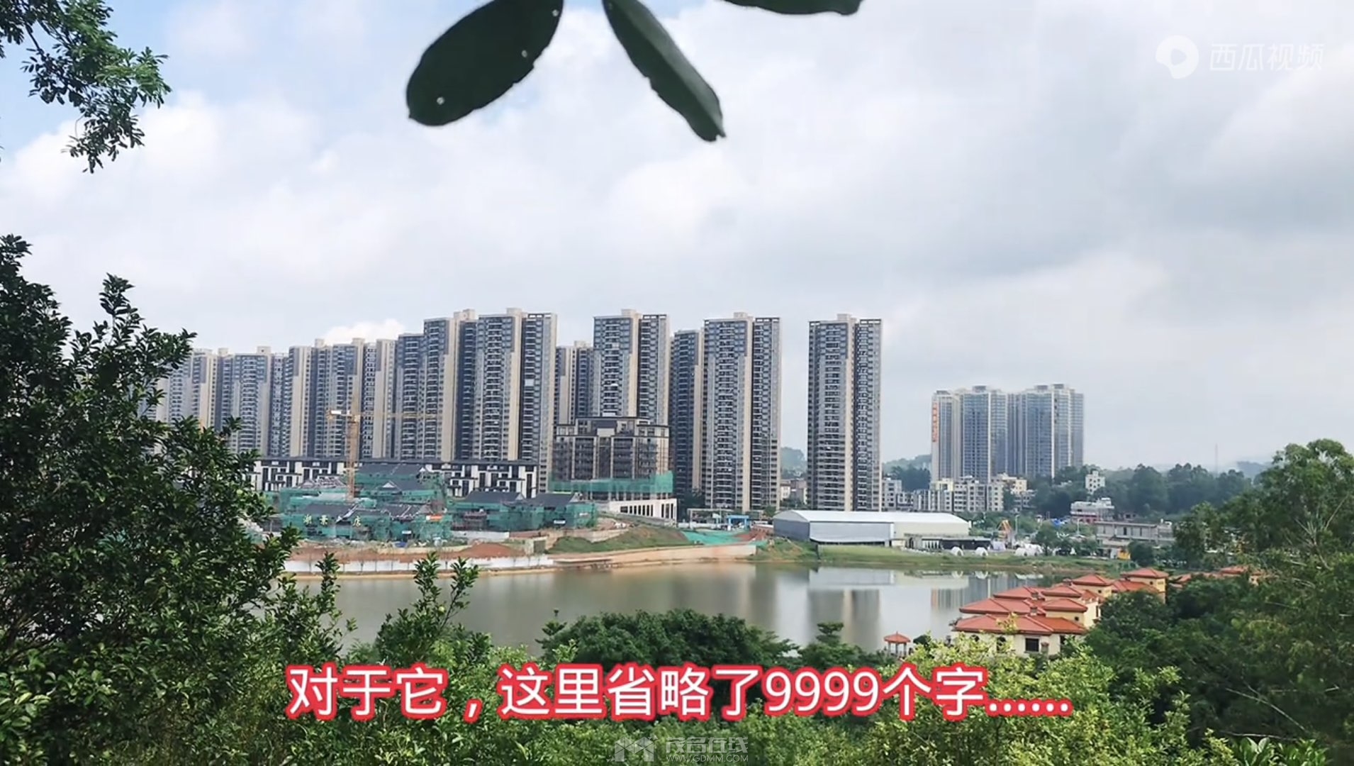 20240615222221front1_0_3381721_FgCfD1bc7h3eWm8MSPMnOIygQGg1.jpg