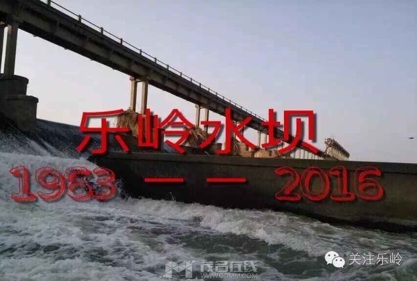 20240616213350front1_0_3381721_Ftod_y-f2uEOrILkSFiutXO890It.jpg