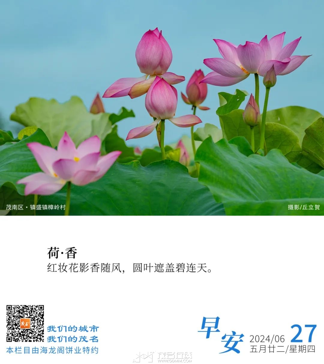 083830s18wta885581wr8a.jpeg