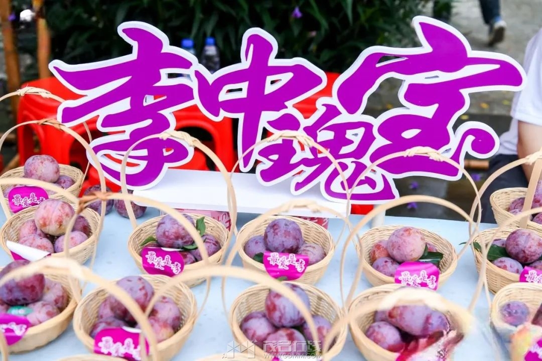 212454xmp3id3nxinl0md0.jpeg