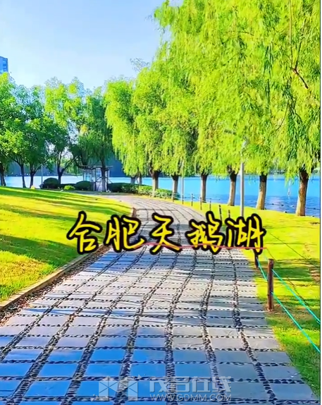 ΢ͼƬ_20240724173640.png