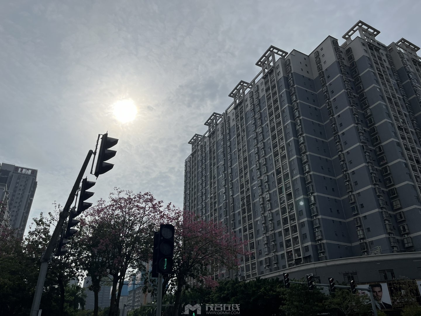 20240910100918front1_0_3383915_FhzcuFUnAOHzbALBaWtZnZ4ECk6Q.jpg
