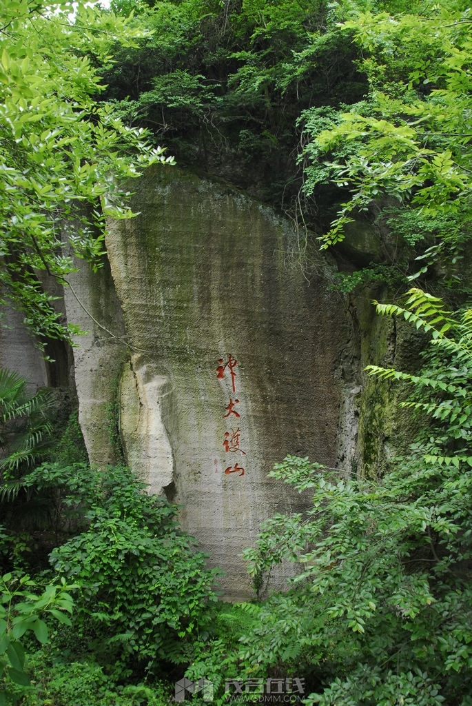 35.jpg