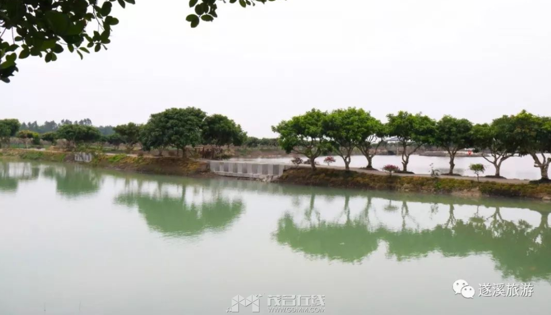 QQ20241222-104429.png