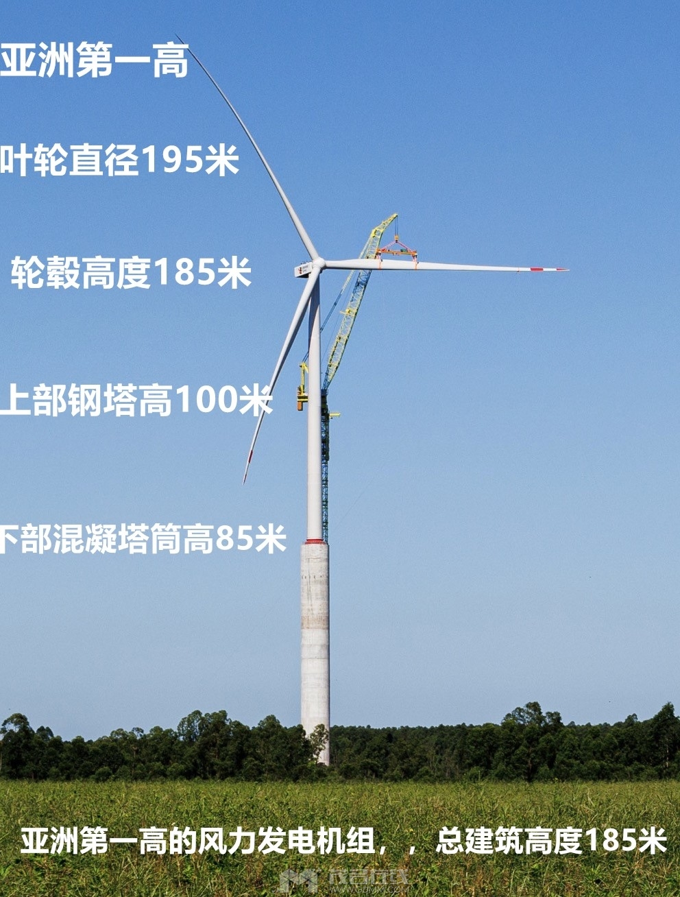 2024080609084117365_副本.jpg