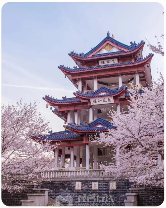 微信截图_20250228092006.png