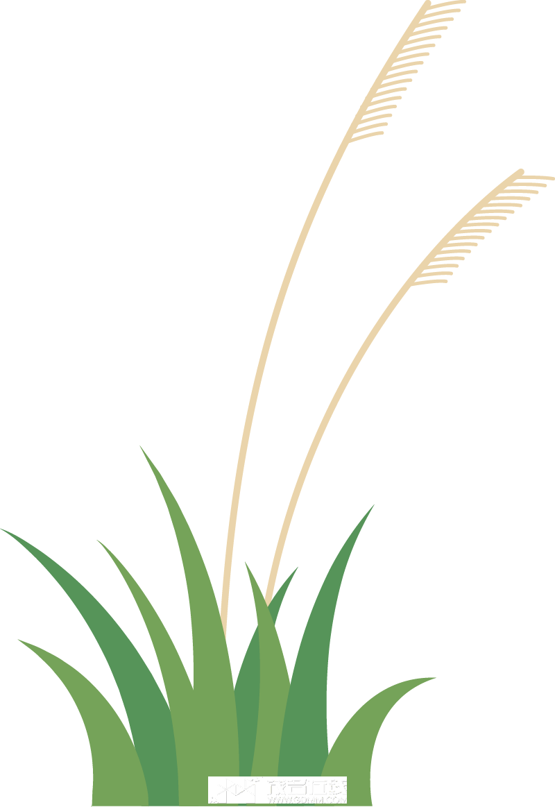 164407sv8p2vi6b1vwi6v1.png