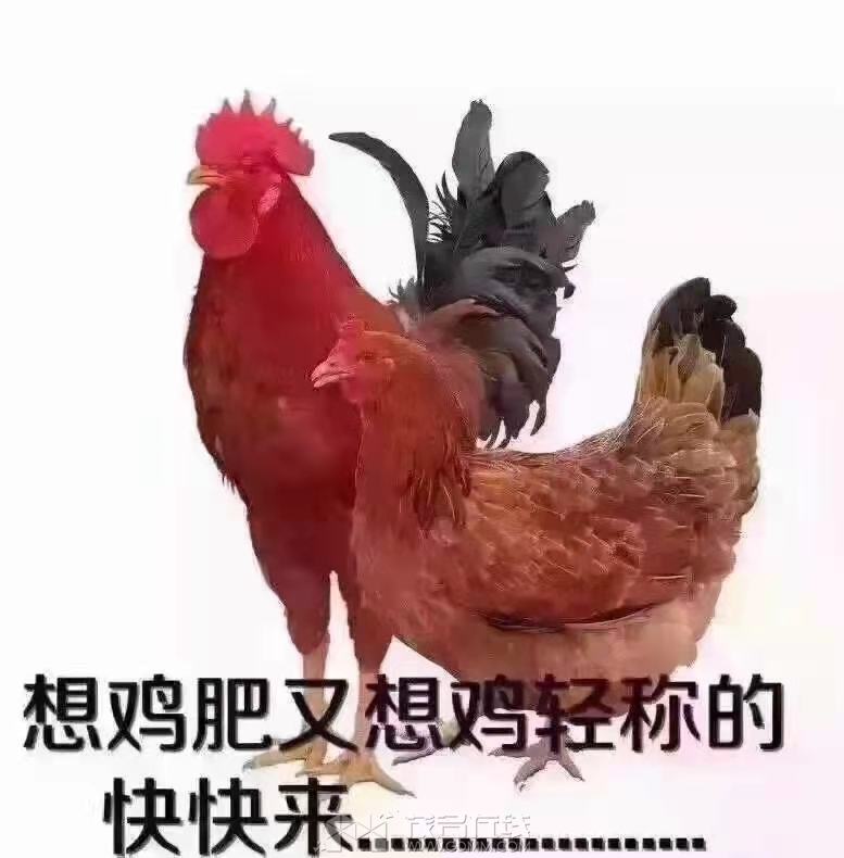 27313716c97e10d00a258bbb4cb6c74.jpg