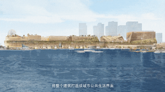 31479818_ec724dcc-a409-432d-86a3-f6712b1b7d1a.gif
